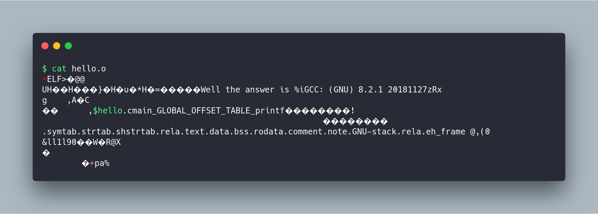 Object File